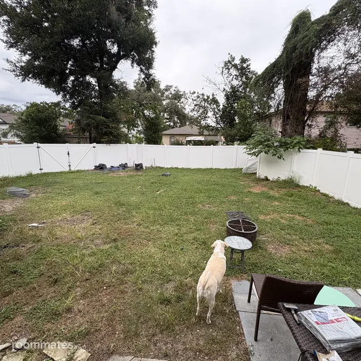 Room for rent in Tampa FL $850, house