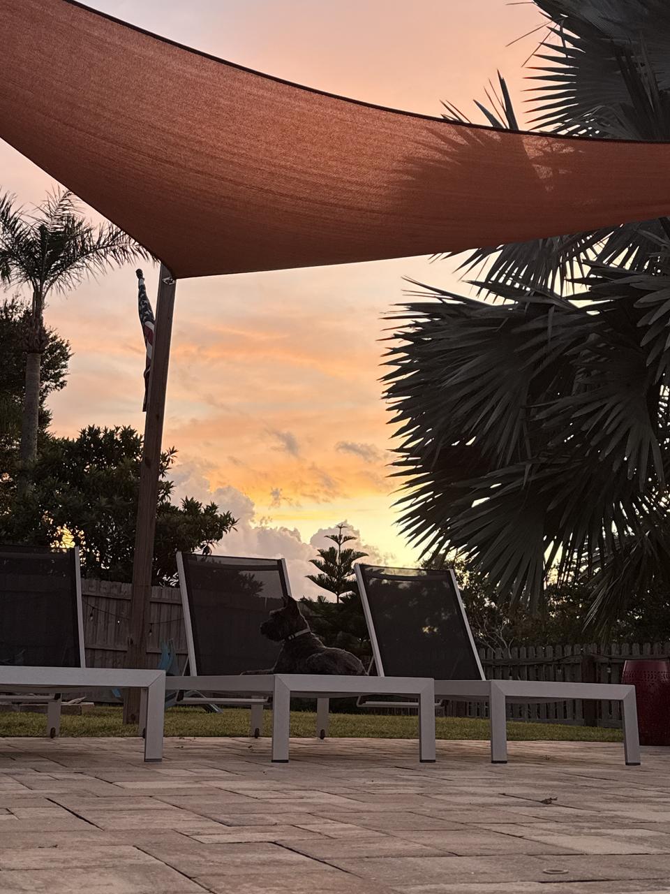 Profile photo 13 of 16