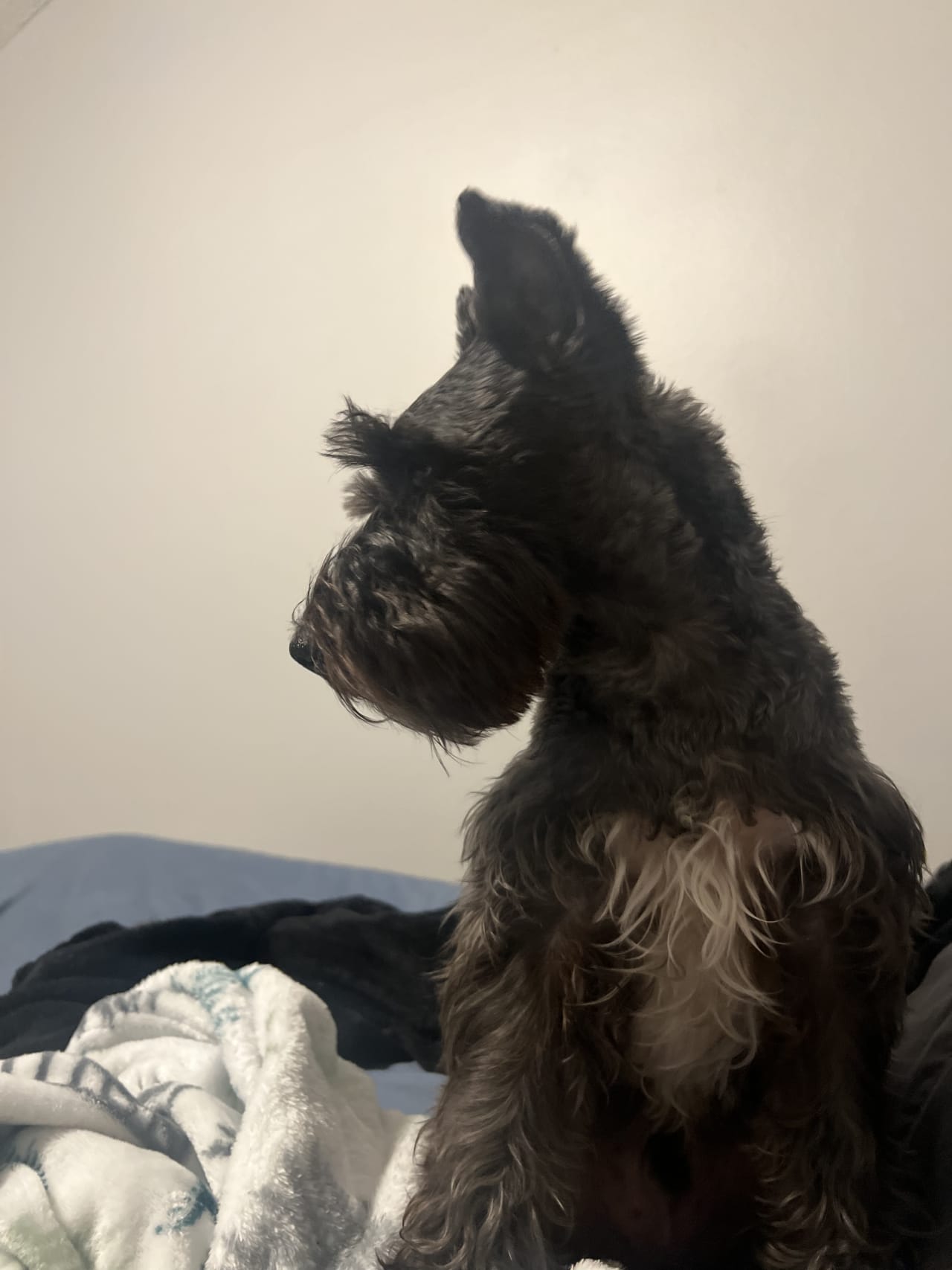 Profile photo 15 of 16