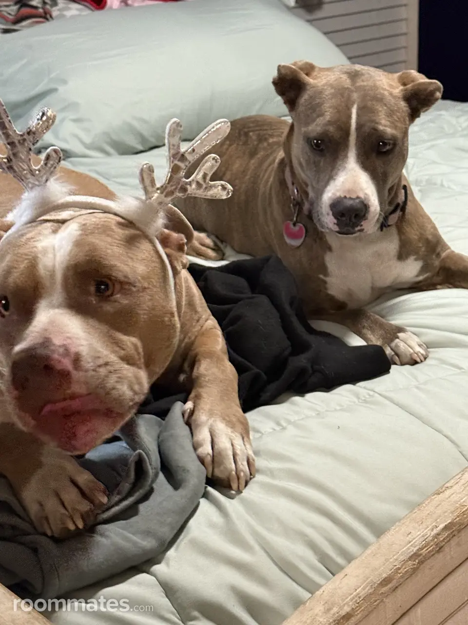 Profile photo 9 of 10