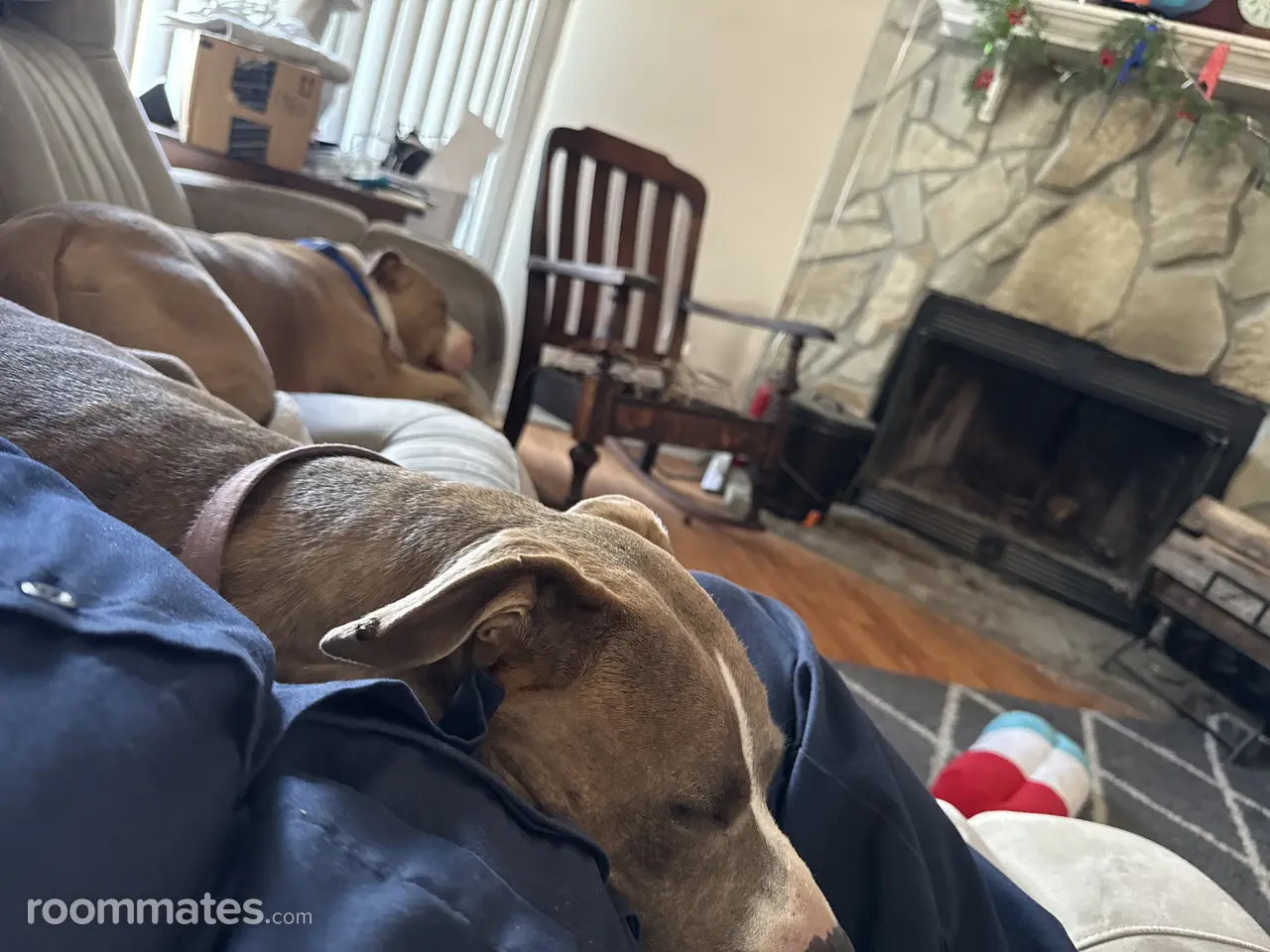 Profile photo 4 of 10