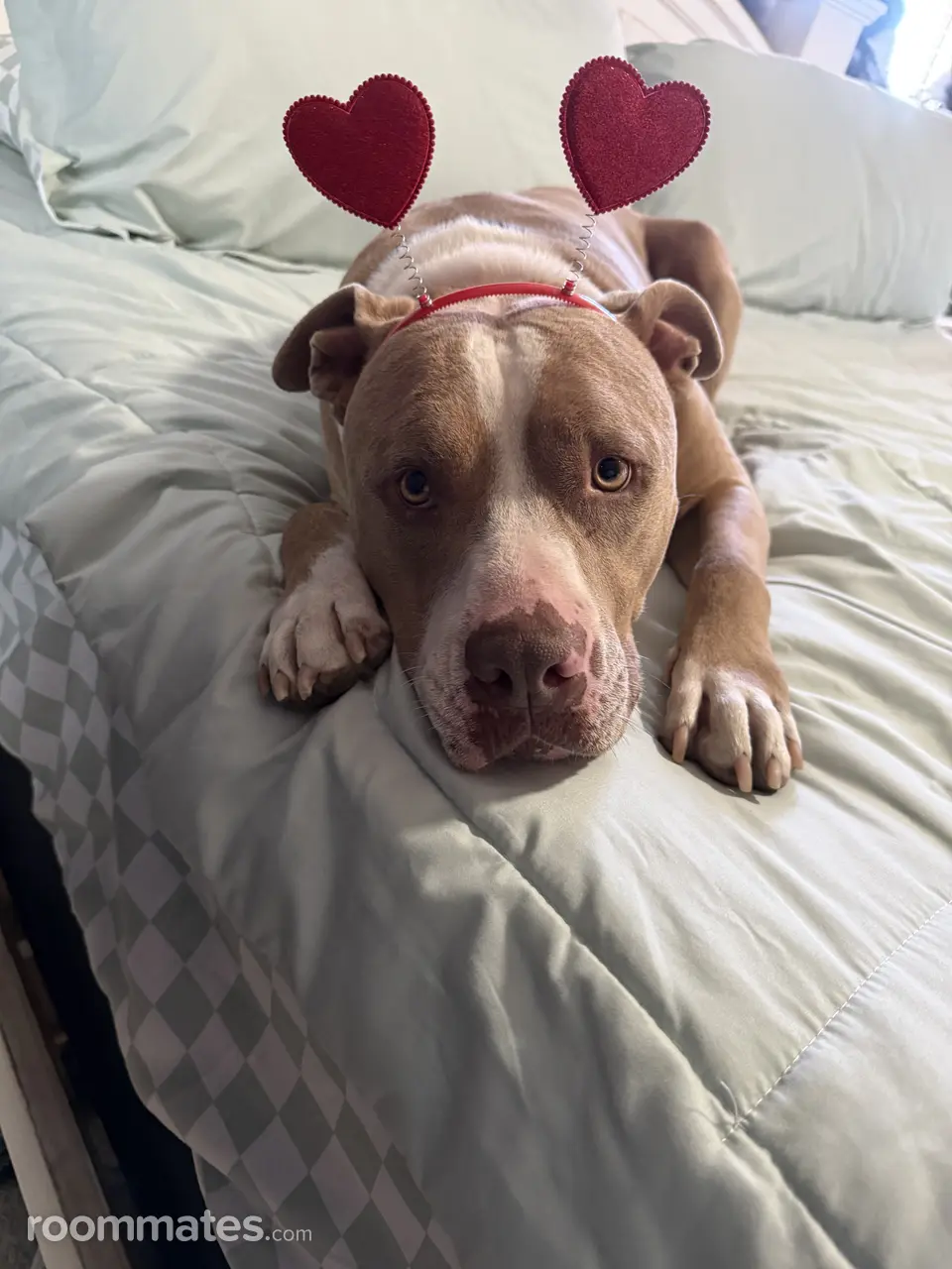 Profile photo 5 of 10