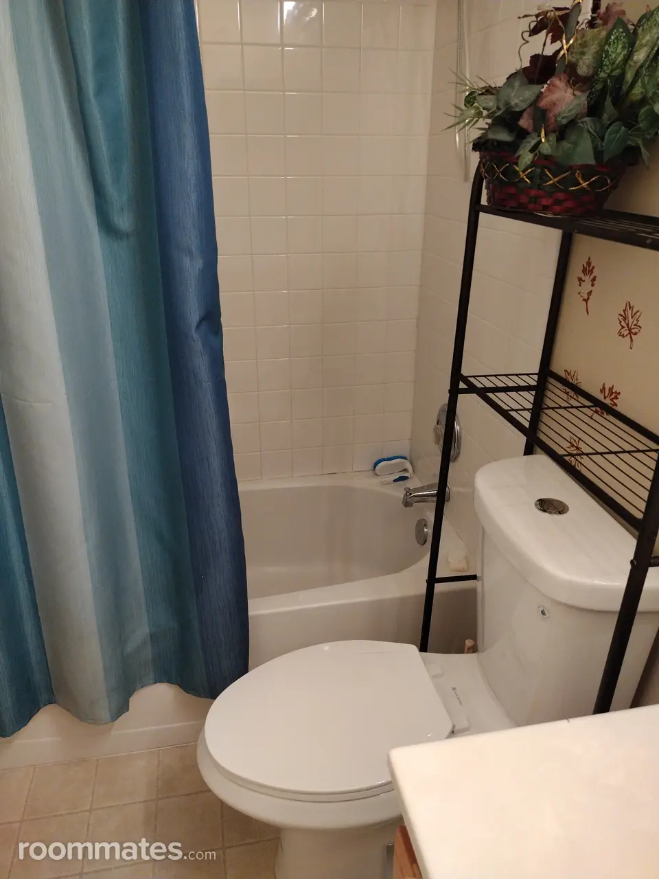 Profile photo 9 of 11