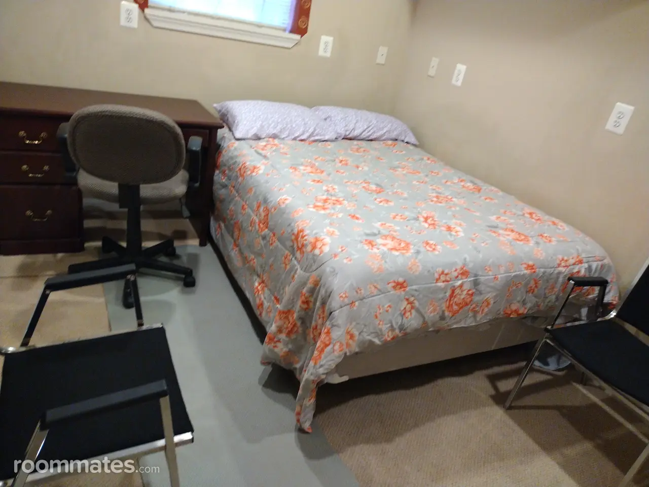 Profile photo 6 of 11