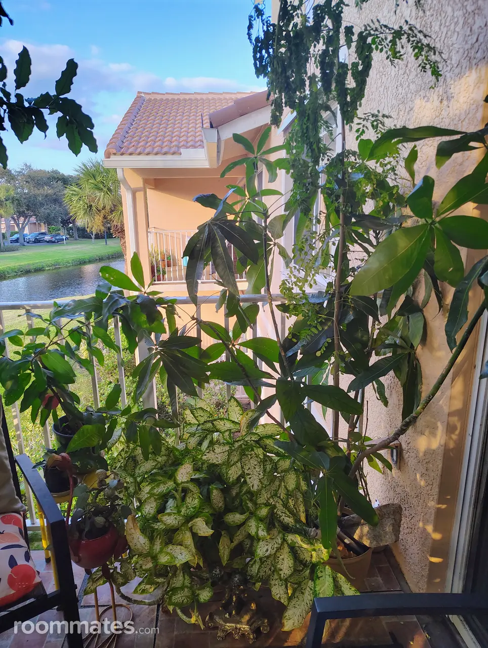 Profile photo 9 of 21