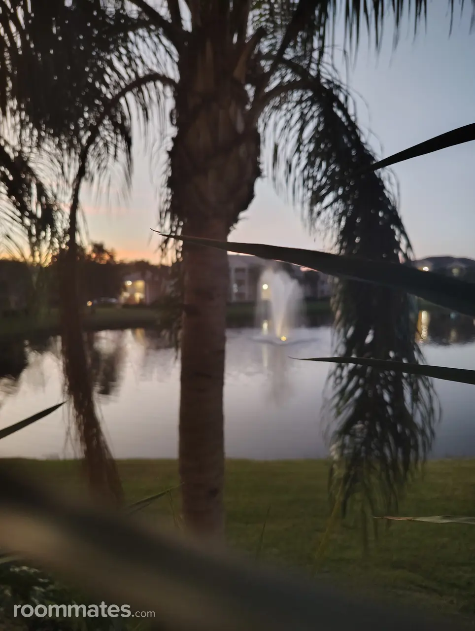 Profile photo 2 of 21