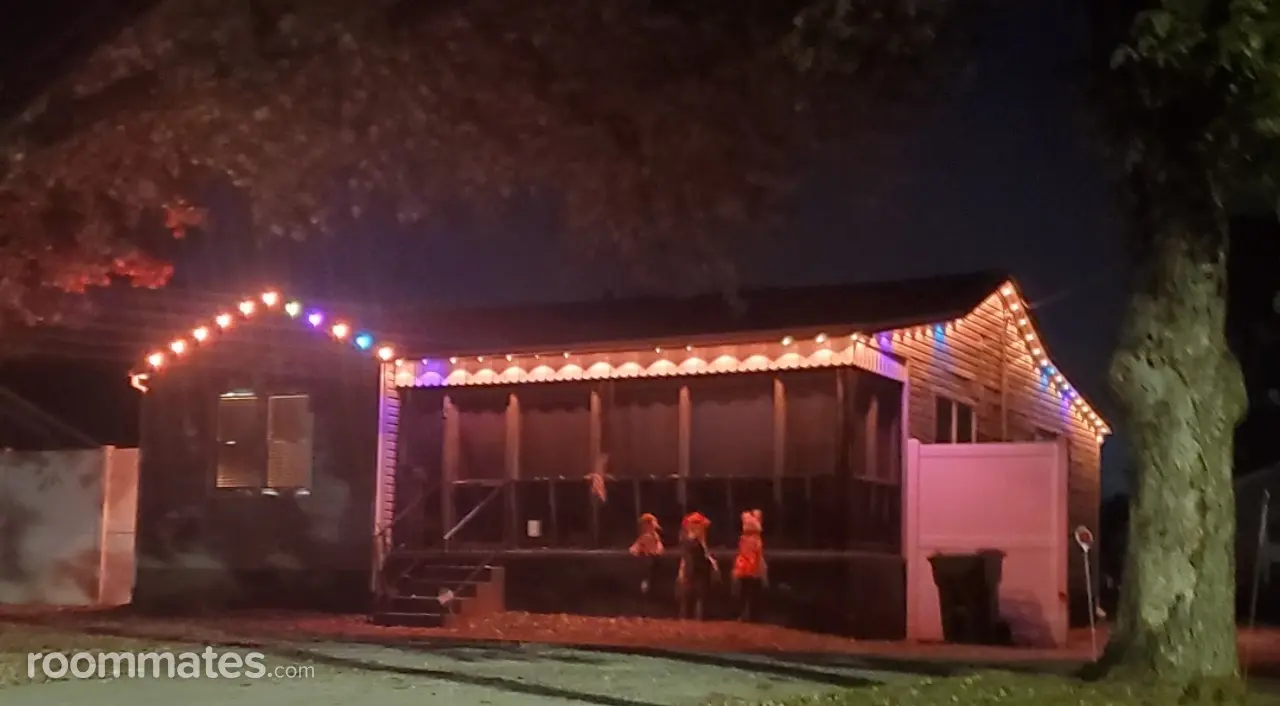 Profile photo 2 of 11