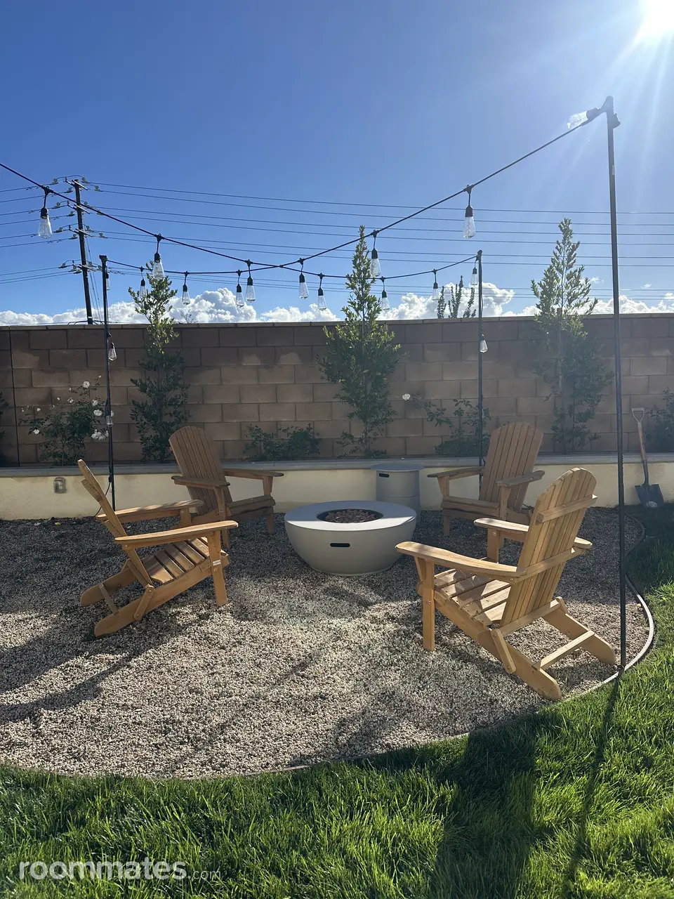 Profile photo 5 of 6