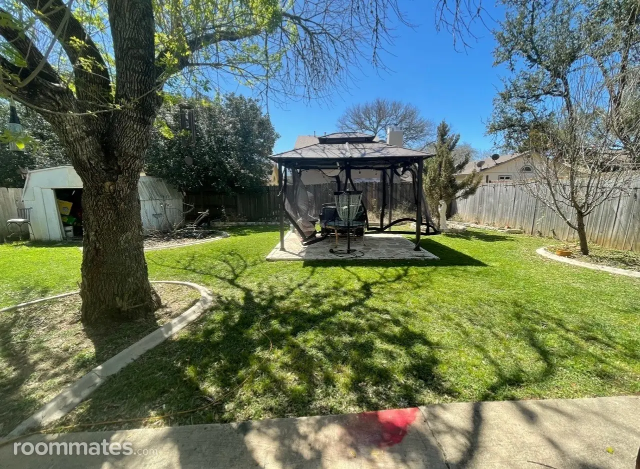 Profile photo 5 of 12