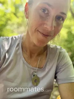 Roommate looking Salt Lake City, UT, $800