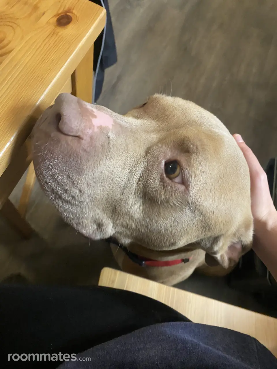 Profile photo 2 of 5