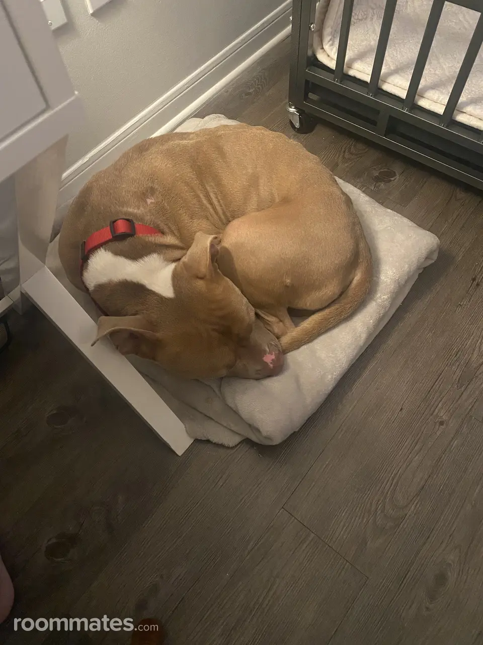 Profile photo 3 of 5