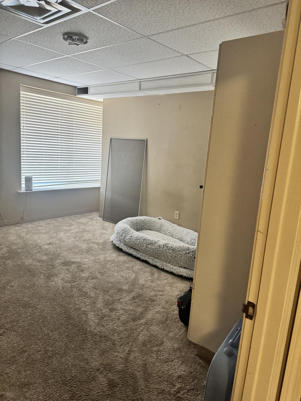 Profile photo 2 of 14