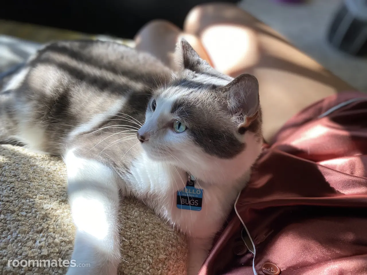 Profile photo 6 of 9