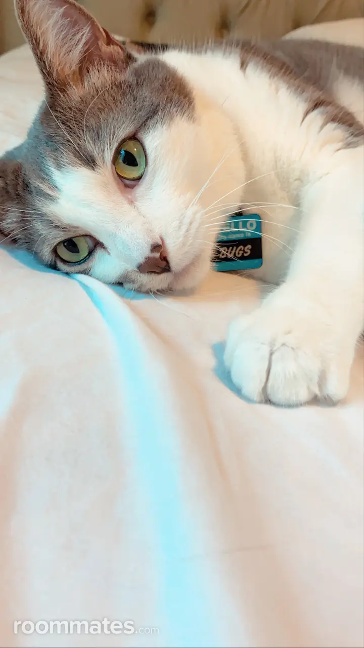 Profile photo 7 of 9