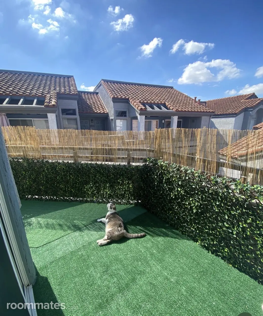 Profile photo 9 of 9