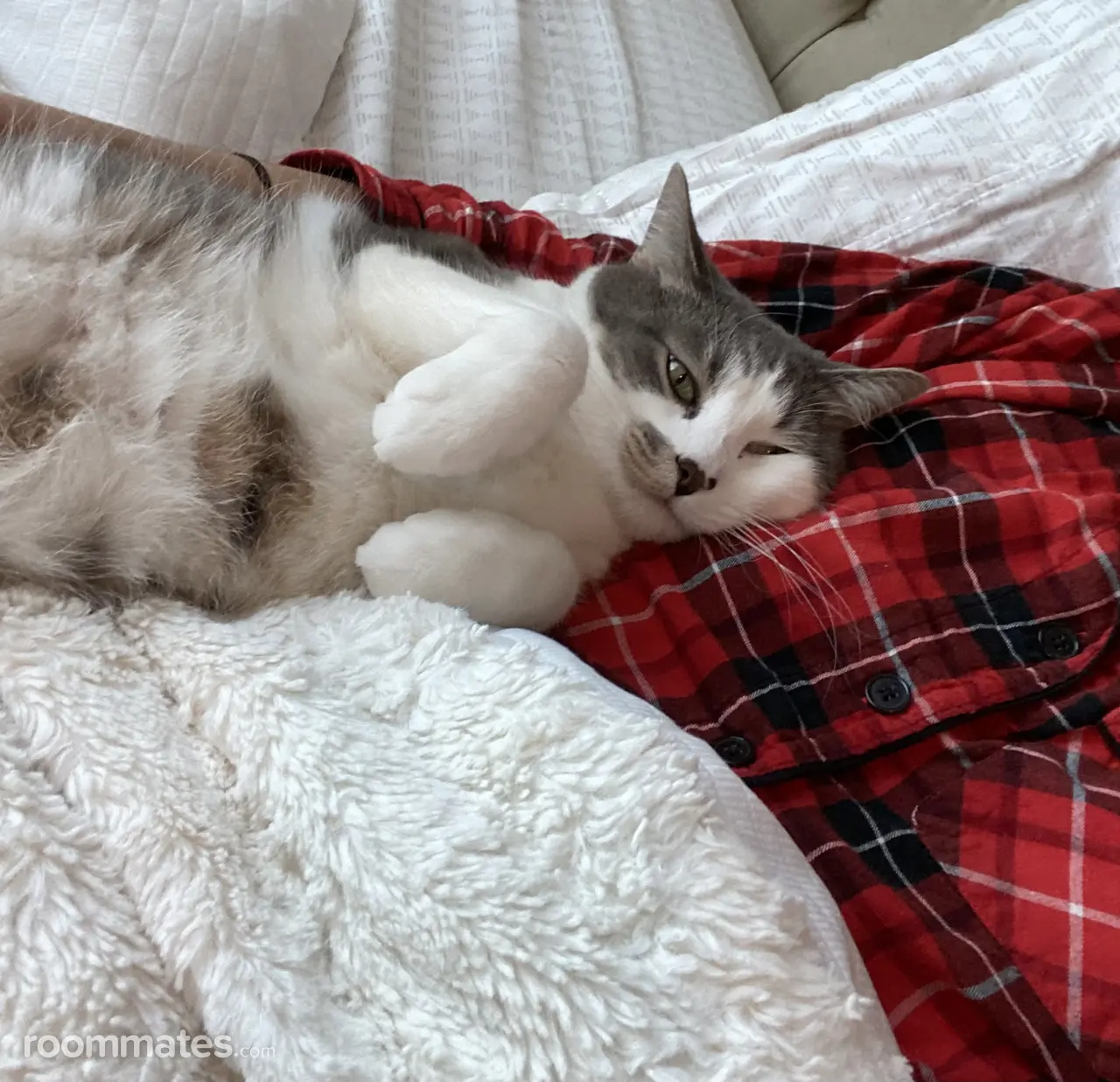 Profile photo 8 of 9