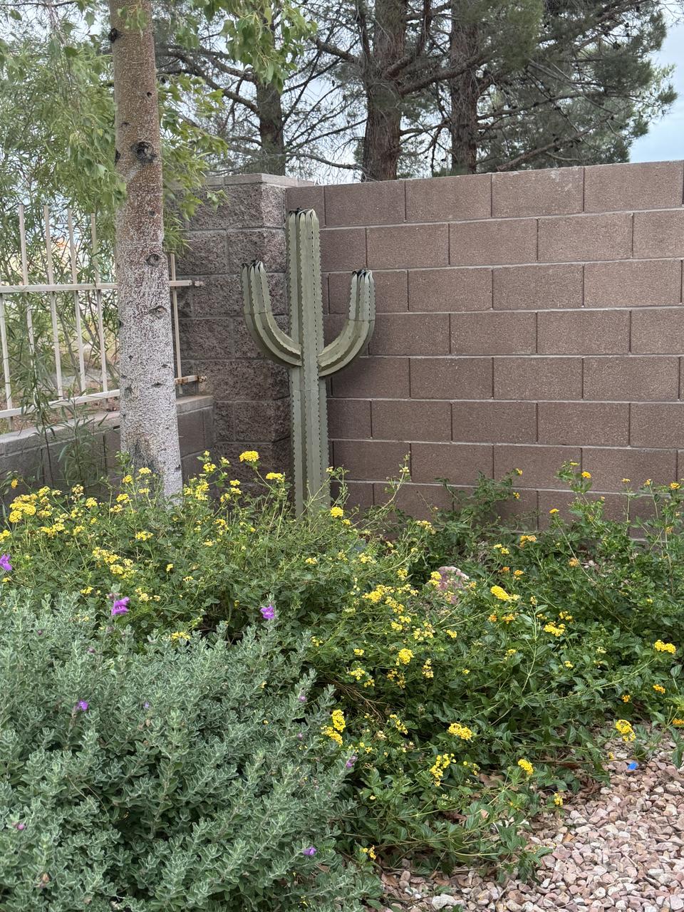 Profile photo 10 of 18