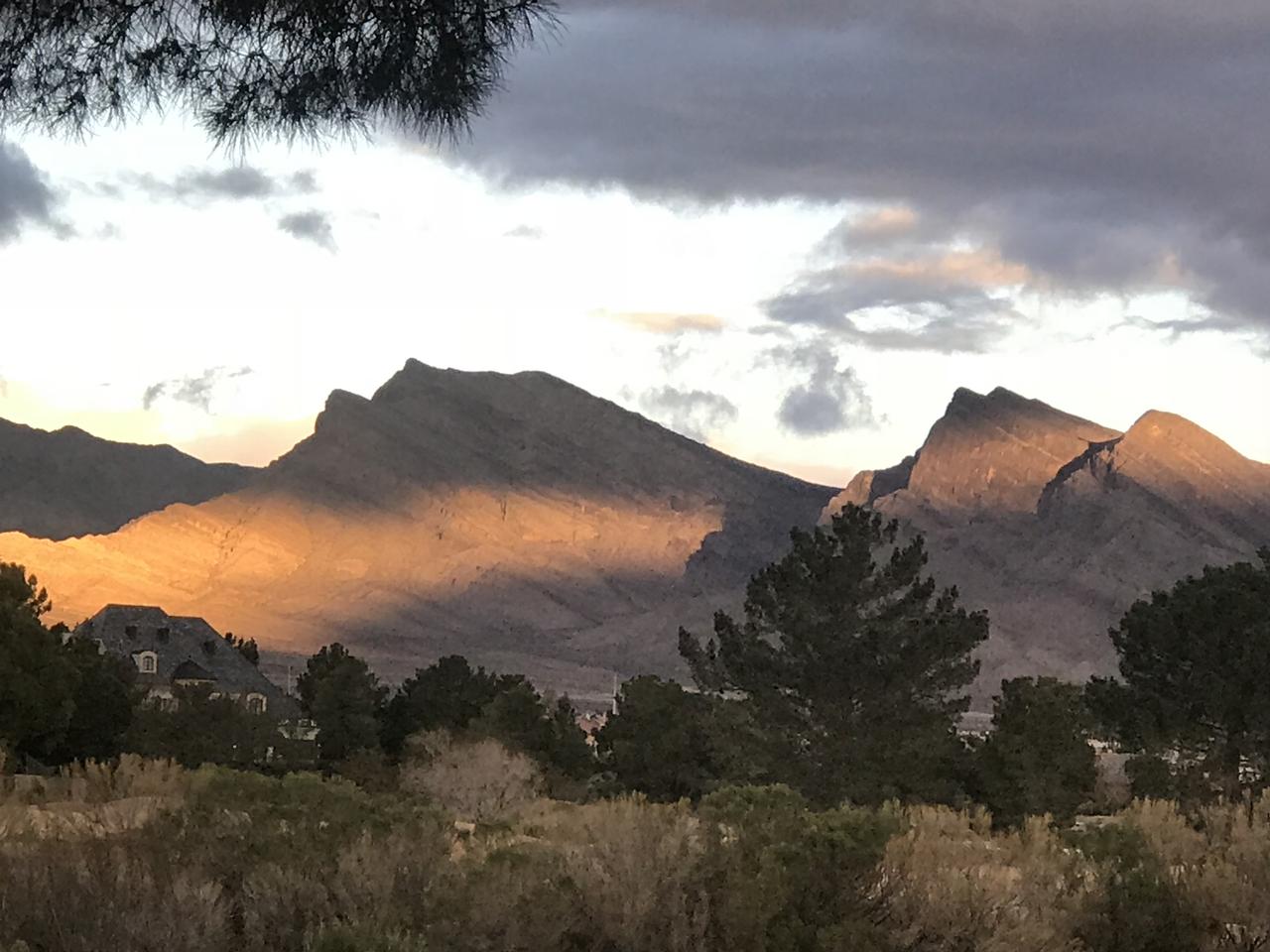 Profile photo 14 of 18