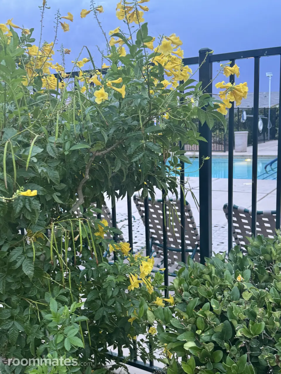 Profile photo 18 of 18