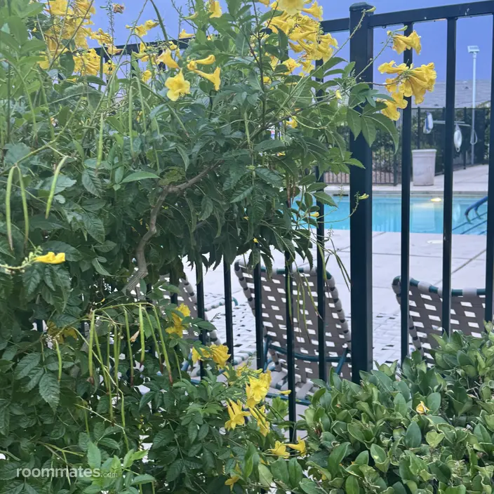 Room for rent in Las Vegas, NV $580, townhouse