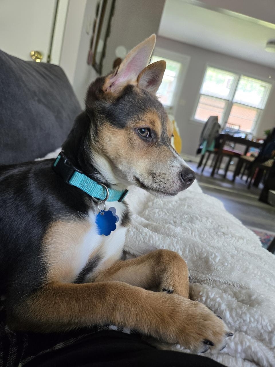 Profile photo 2 of 3