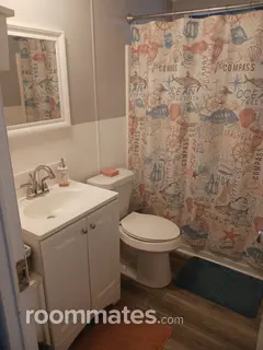 Room for rent in Safety Harbor, FL $950, other