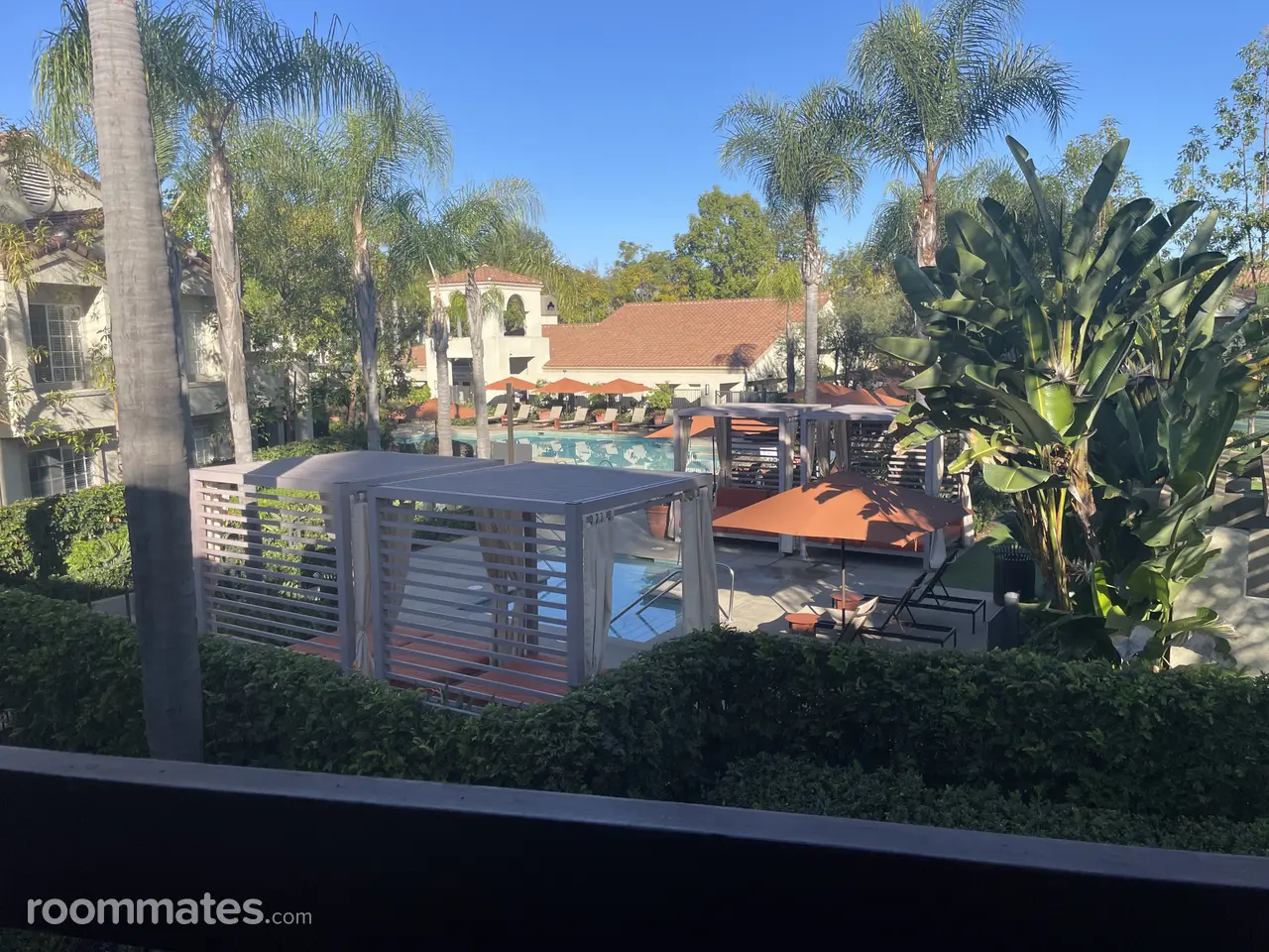 Profile photo 9 of 11