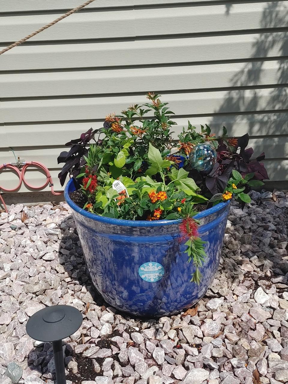 Profile photo 2 of 6