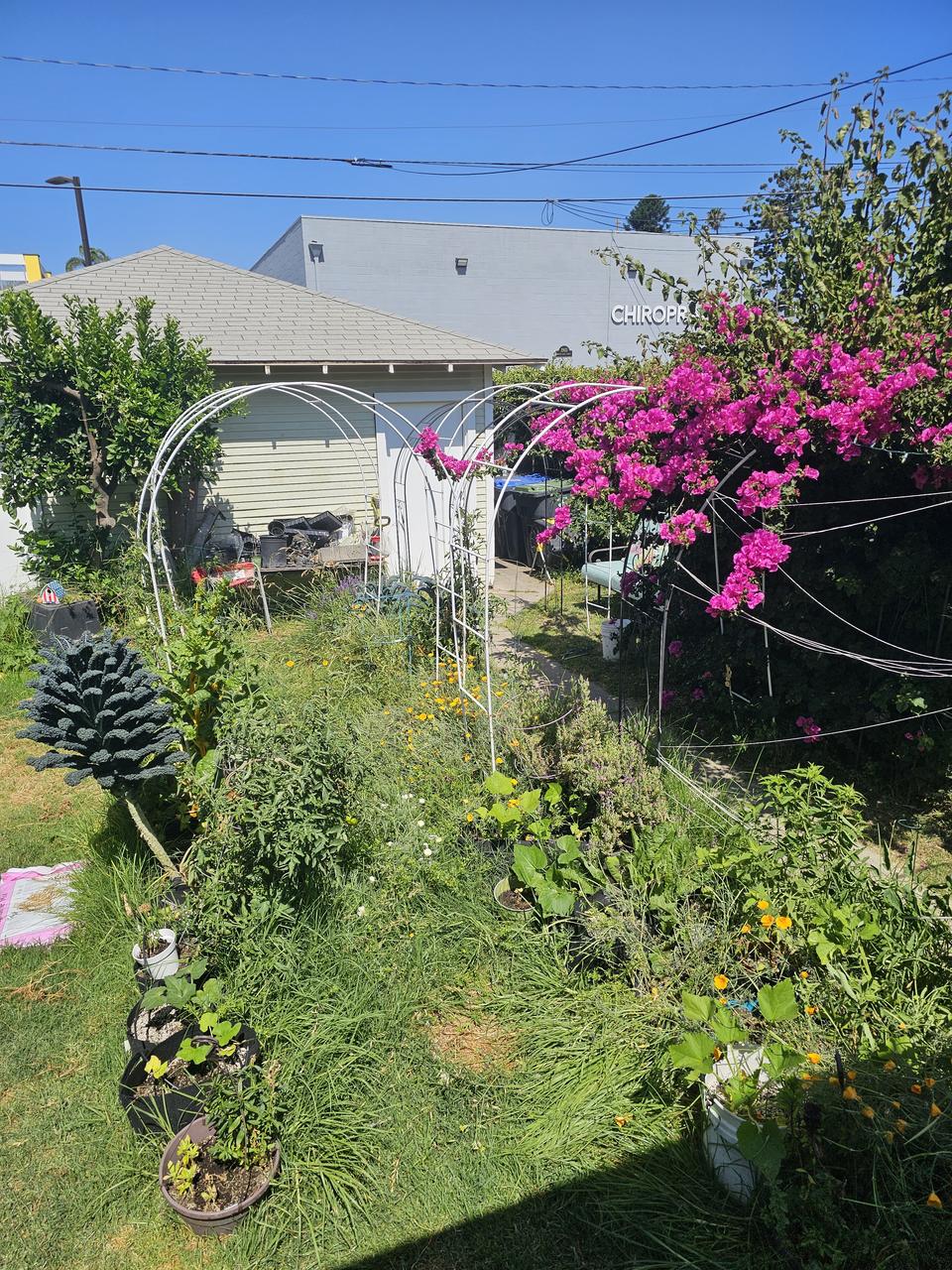 Profile photo 10 of 11