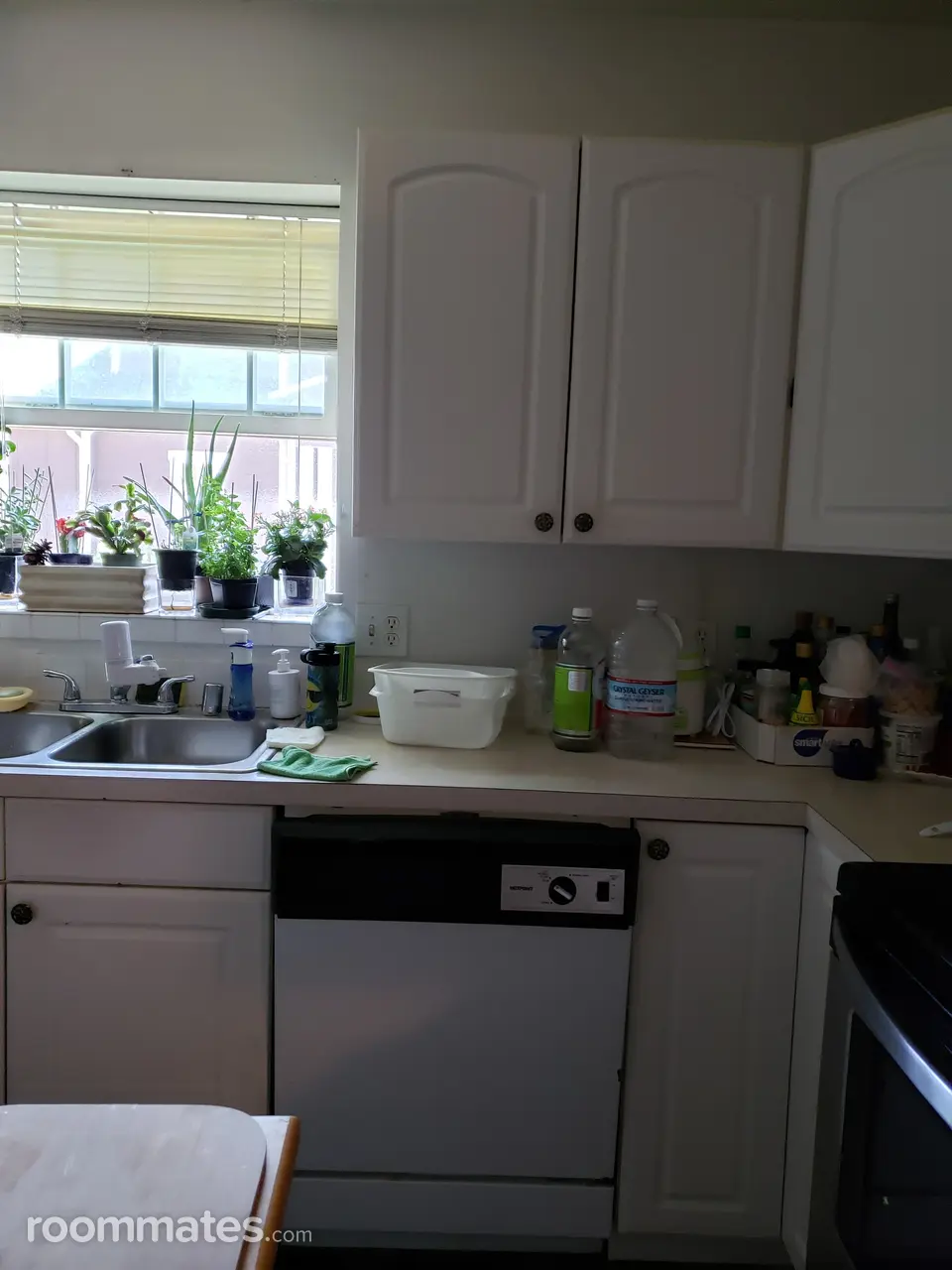 Profile photo 3 of 6