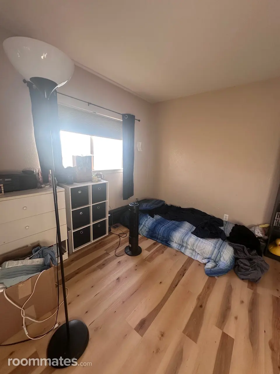 Profile photo 8 of 11