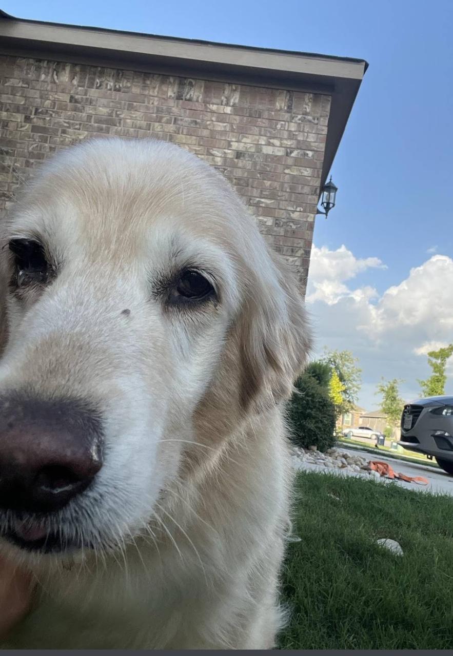 Profile photo 4 of 4