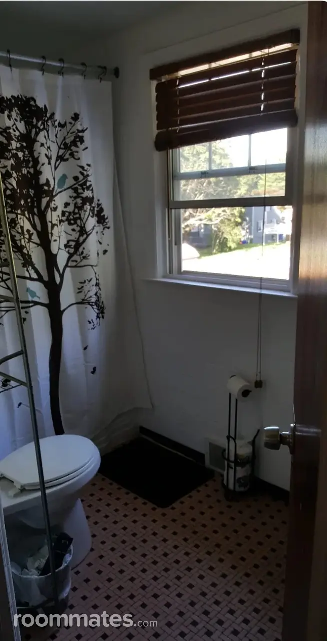 Profile photo 4 of 13