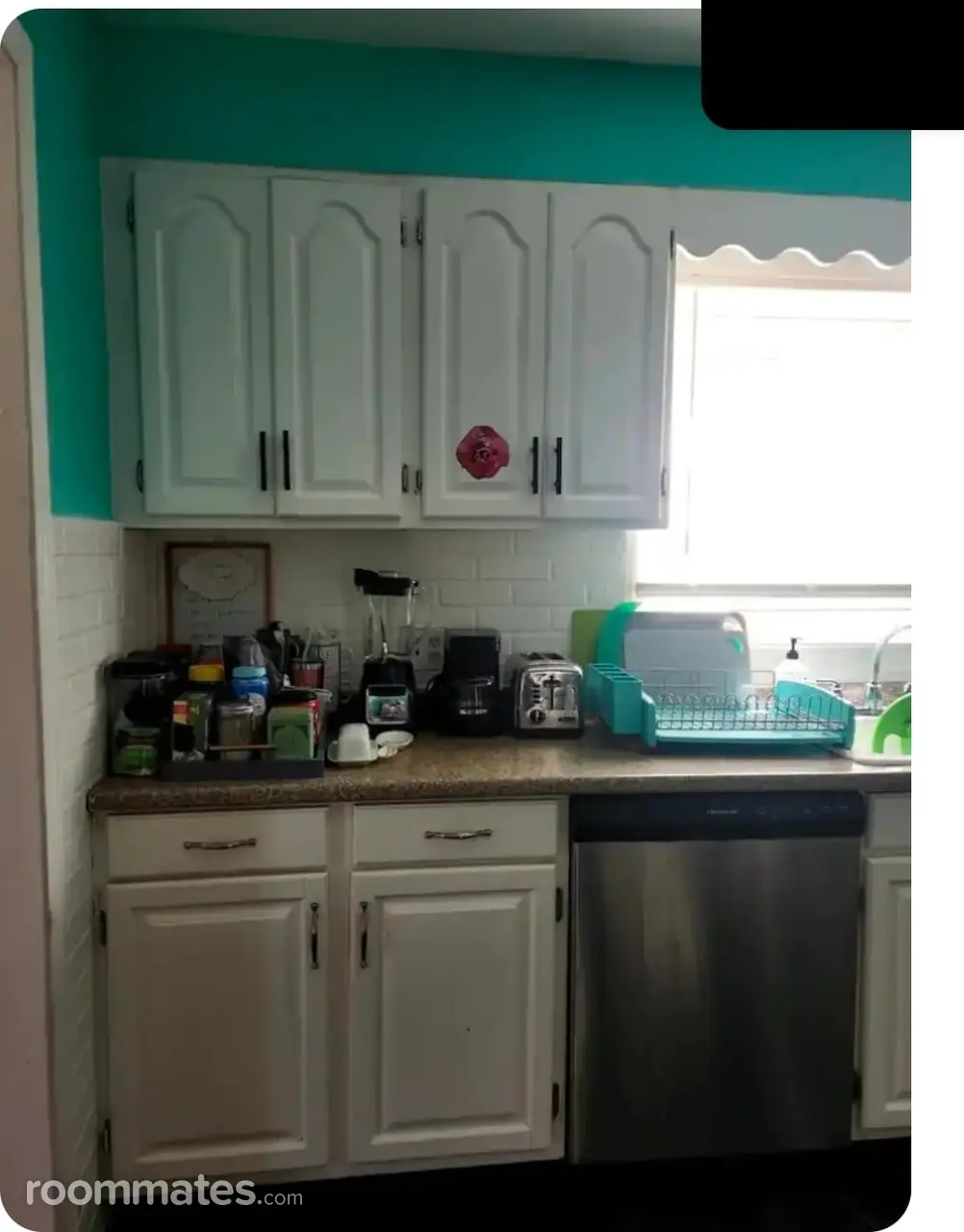 Profile photo 7 of 16