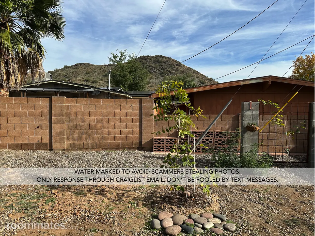 Profile photo 10 of 21