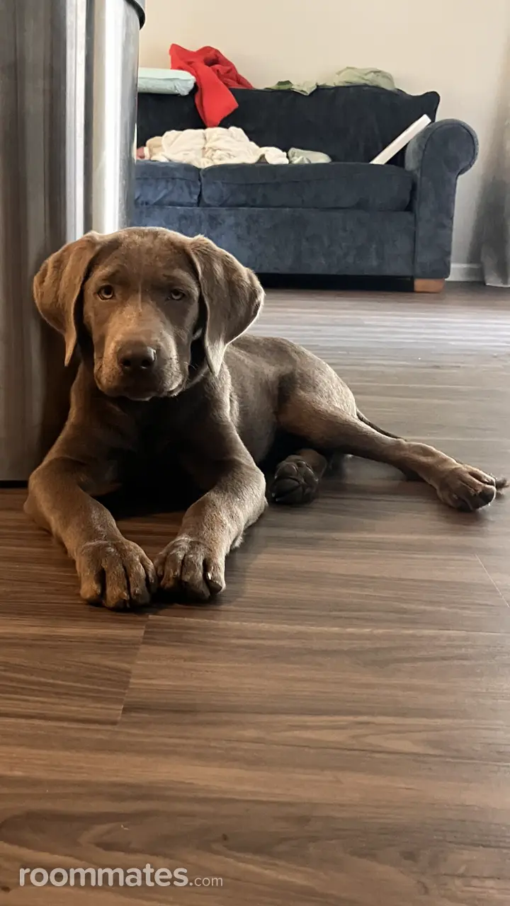 Profile photo 2 of 2