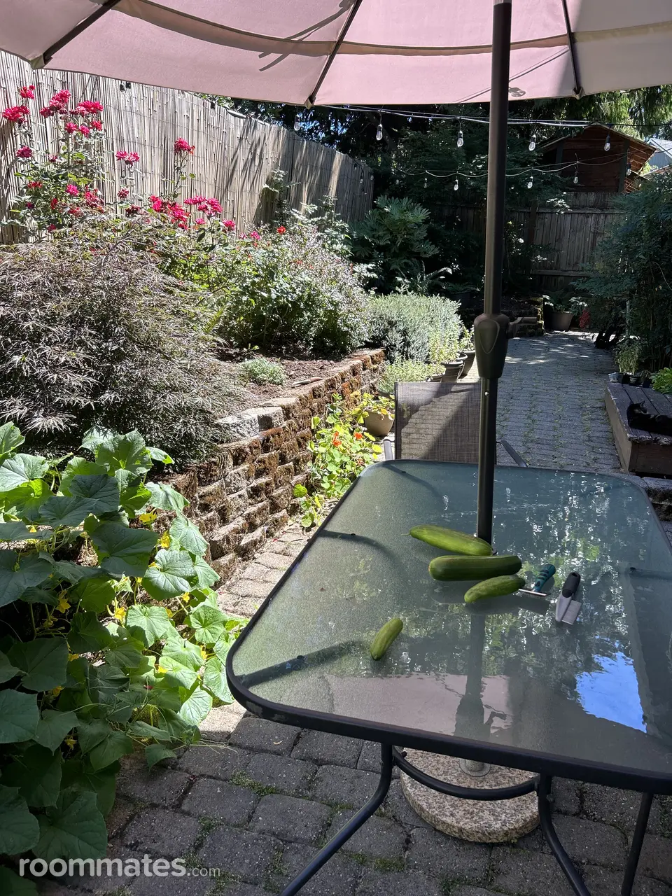 Profile photo 10 of 13