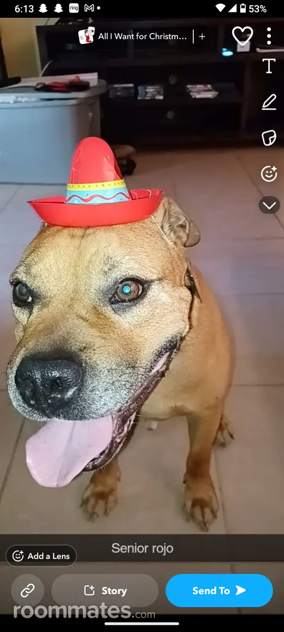 Profile photo 10 of 10