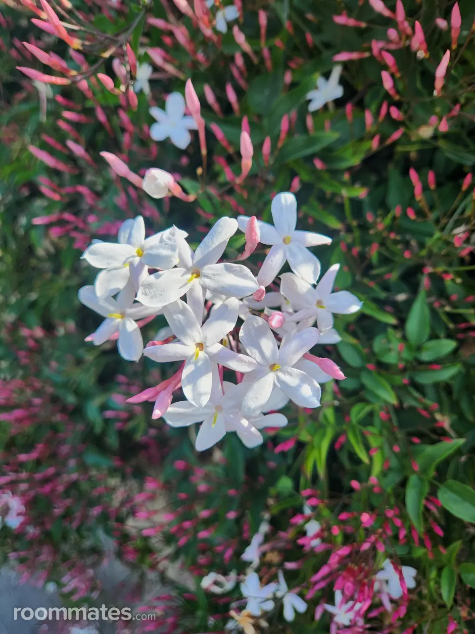 Profile photo 2 of 2