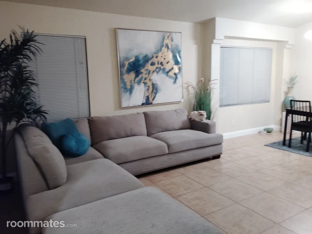 Profile photo 6 of 11