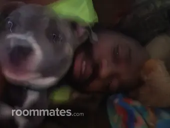 Roommate looking Fayetteville, NC, $600