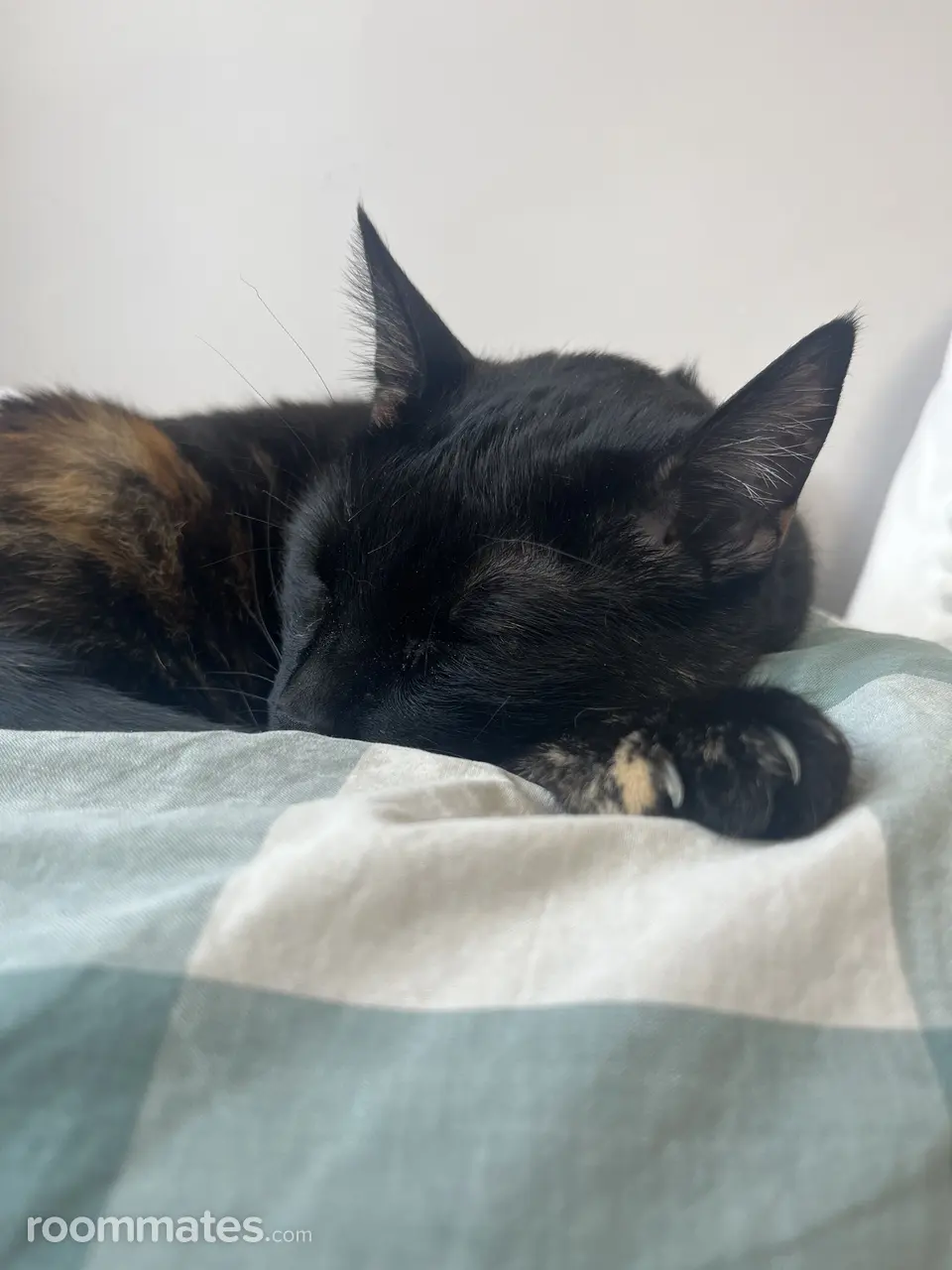 Profile photo 8 of 9