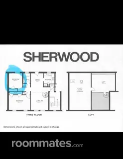 Room for rent in Arlington, VA $1150, condo