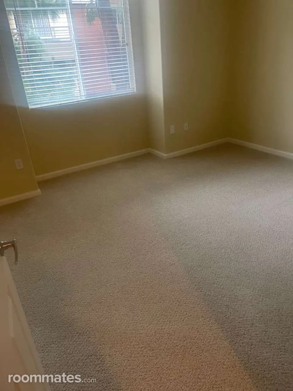 Profile photo 2 of 7