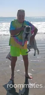 Roommate looking Santee, CA, $900