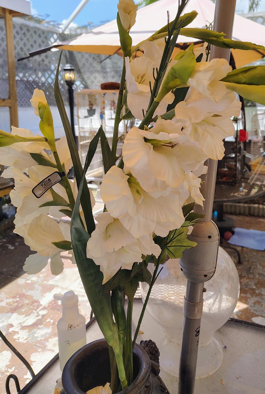 Profile photo 9 of 9