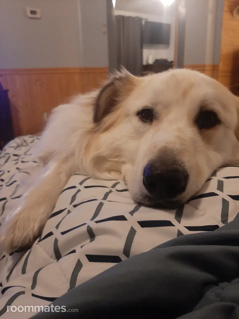 Profile photo 4 of 4