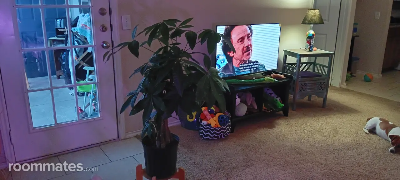 Profile photo 8 of 11