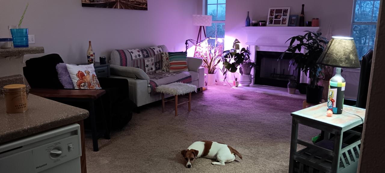 Profile photo 6 of 11